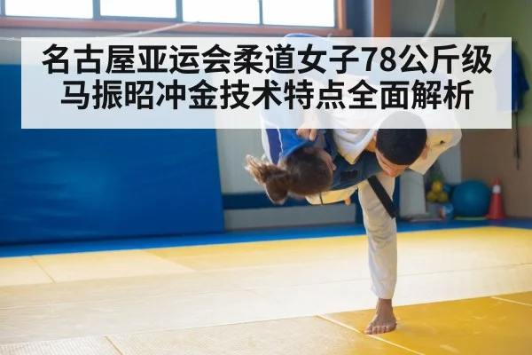 judo grappling mat