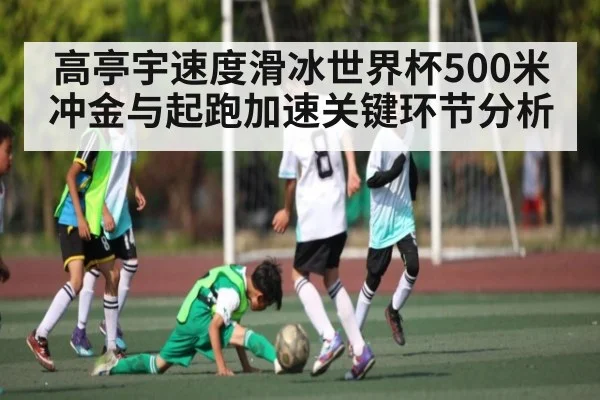 高亭宇速度滑冰世界杯500米冲金与起跑加速关键环节分析