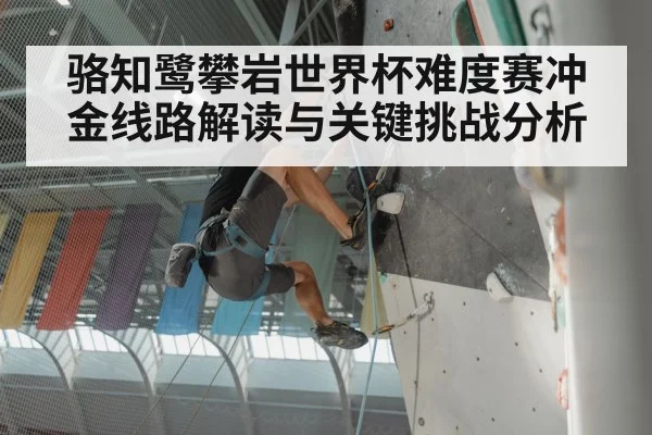 骆知鹭攀岩世界杯难度赛冲金线路解读与关键挑战分析